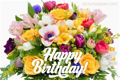 60,000+ Free Happy Birthday Blumen & Happy Birthday Images